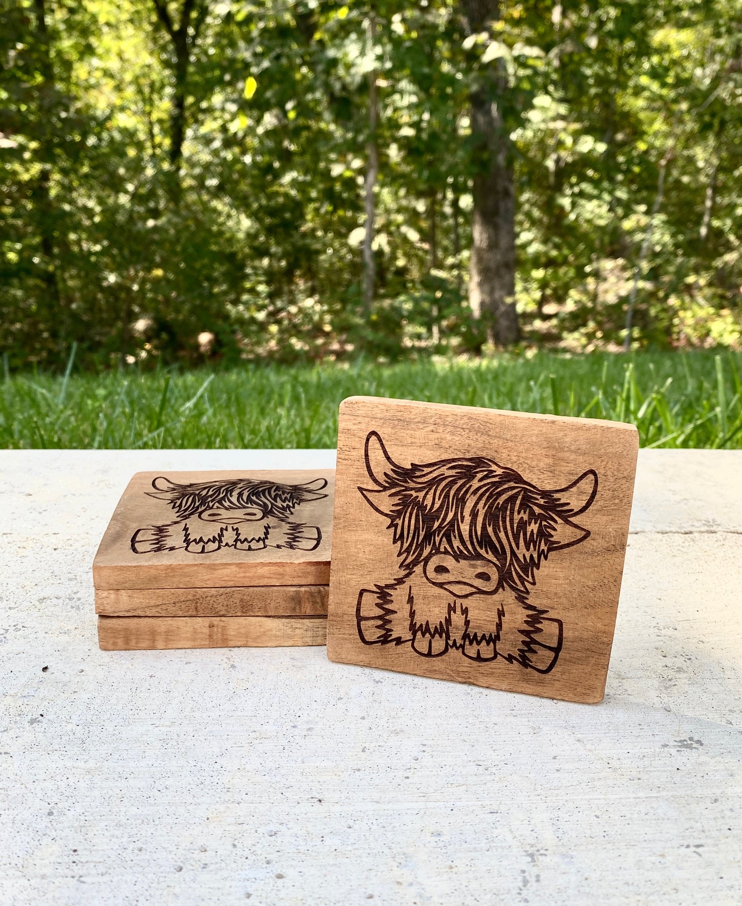 Highland Cow Acacia Wood Coasters - set of 4