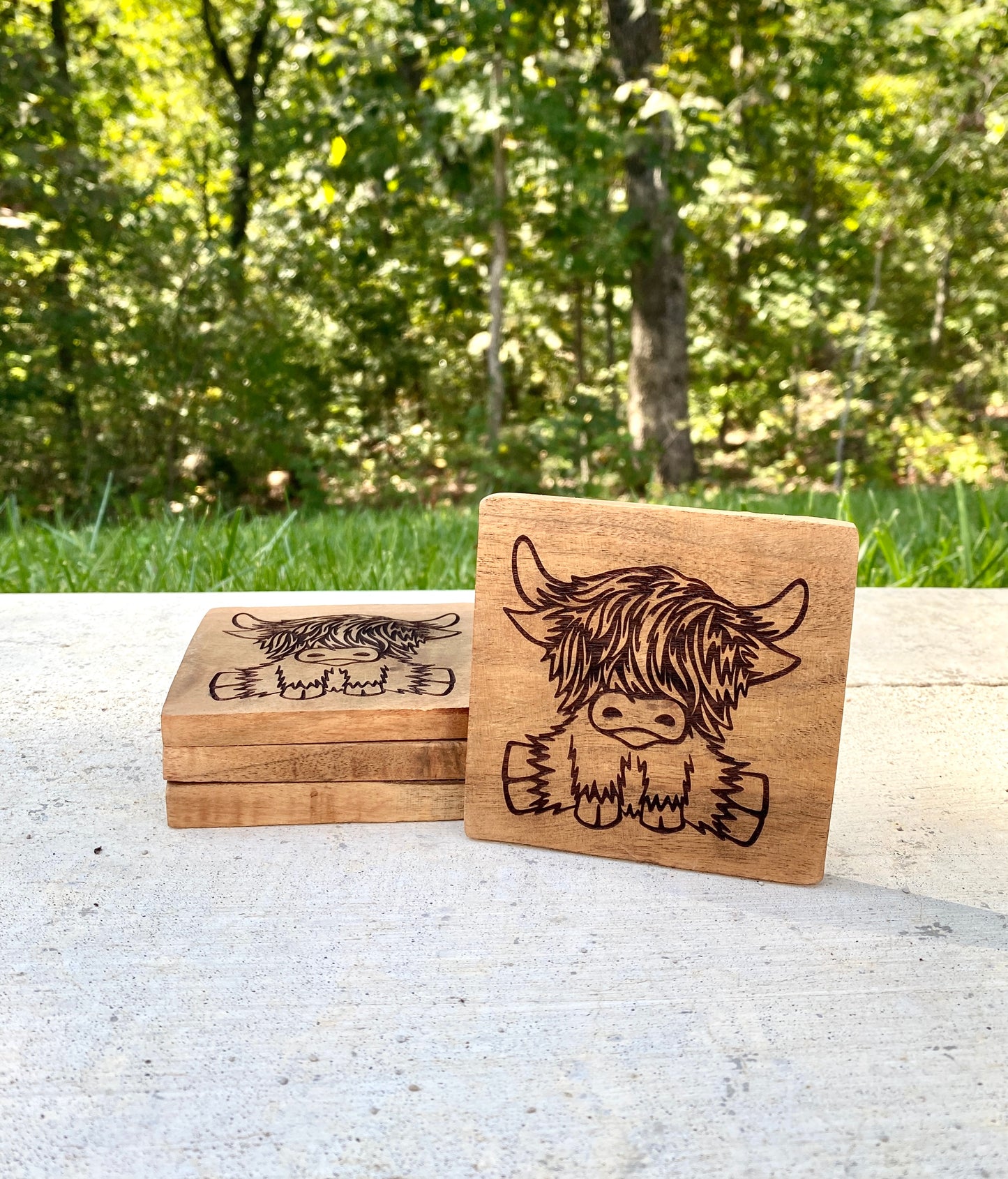 Highland Cow Acacia Wood Coasters - set of 4